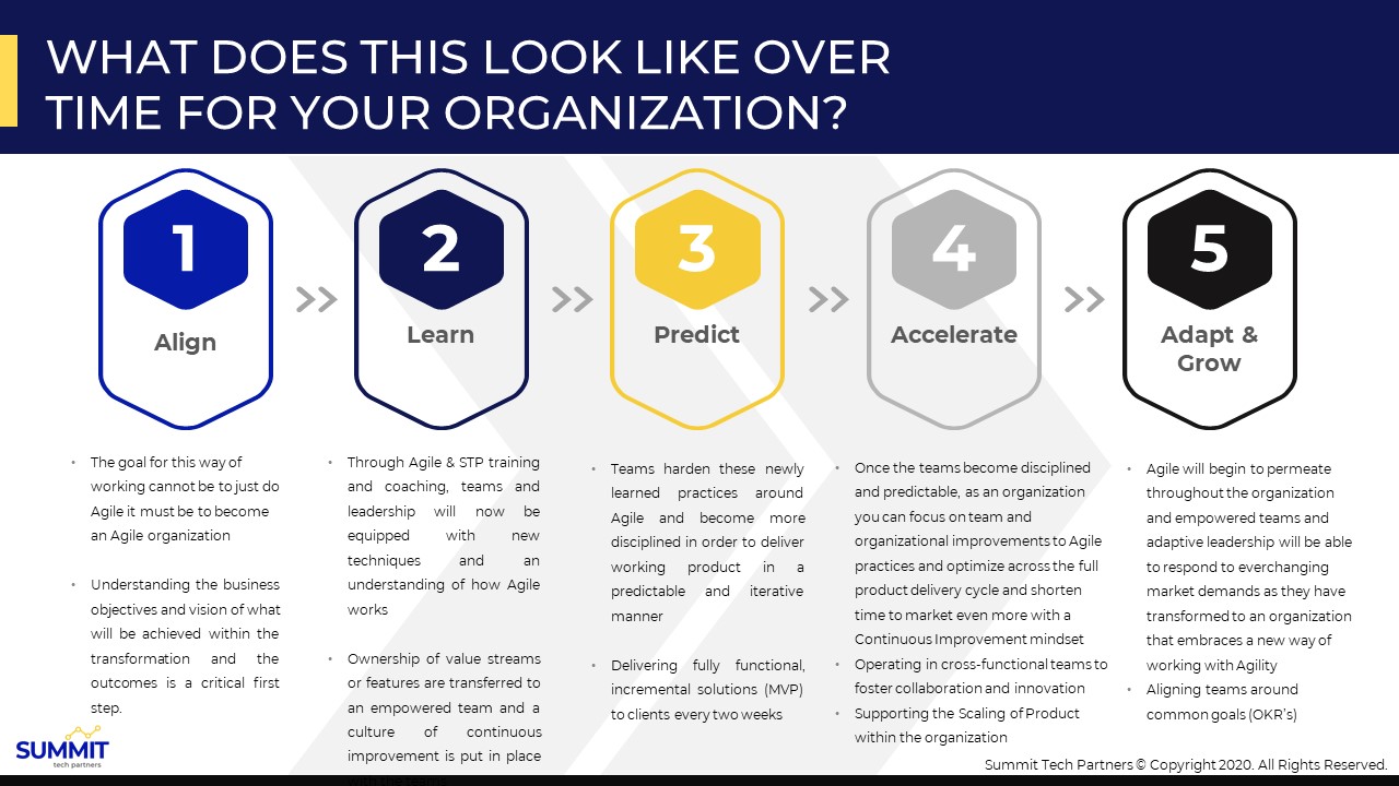 Digital Transformation Success